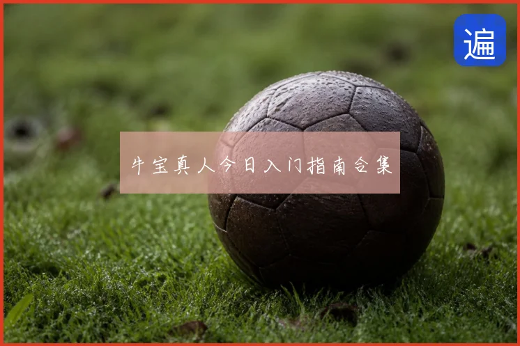 牛宝真人今日入门指南合集
