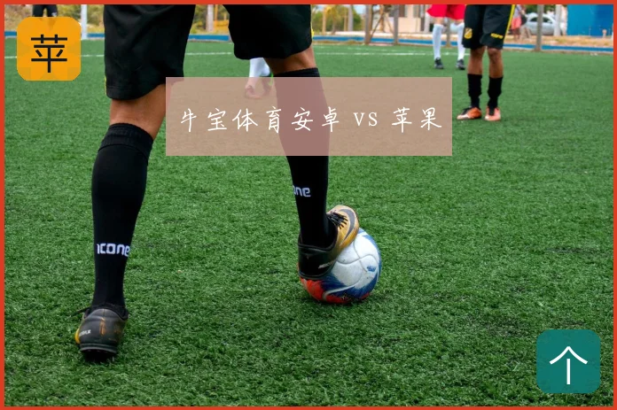 牛宝体育安卓 vs 苹果